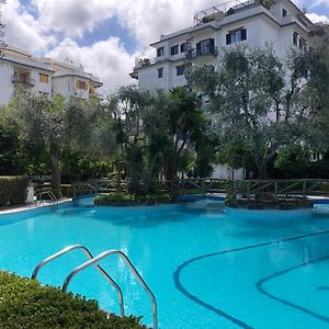 Casa Mami - Luxury Apartment And Pool - Sorrento